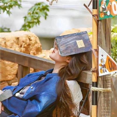 真的要去航海 第一季海报