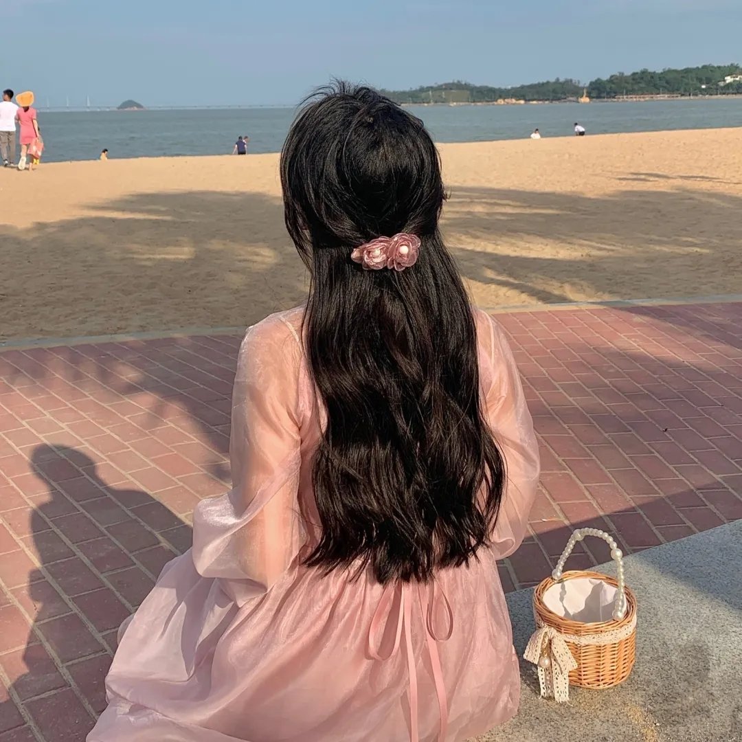 双栖间谍海报